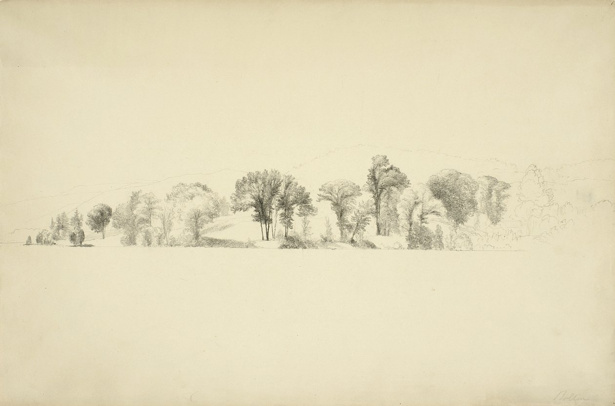 Puut Lake Georgen rannalla, Bolton, New York, 1863 (grafiitti paperille) tekijältä Asher Brown Durand