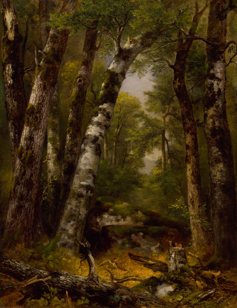 Woodland Glen tekijältä Asher B. Durand
