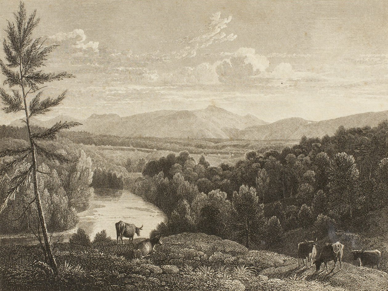Catskill Mountains tekijältä Asher Brown Durand