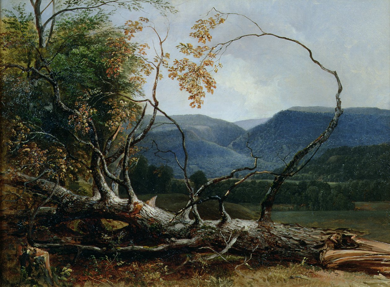 Stratton Notch, Vermont tekijältä Asher Brown Durand