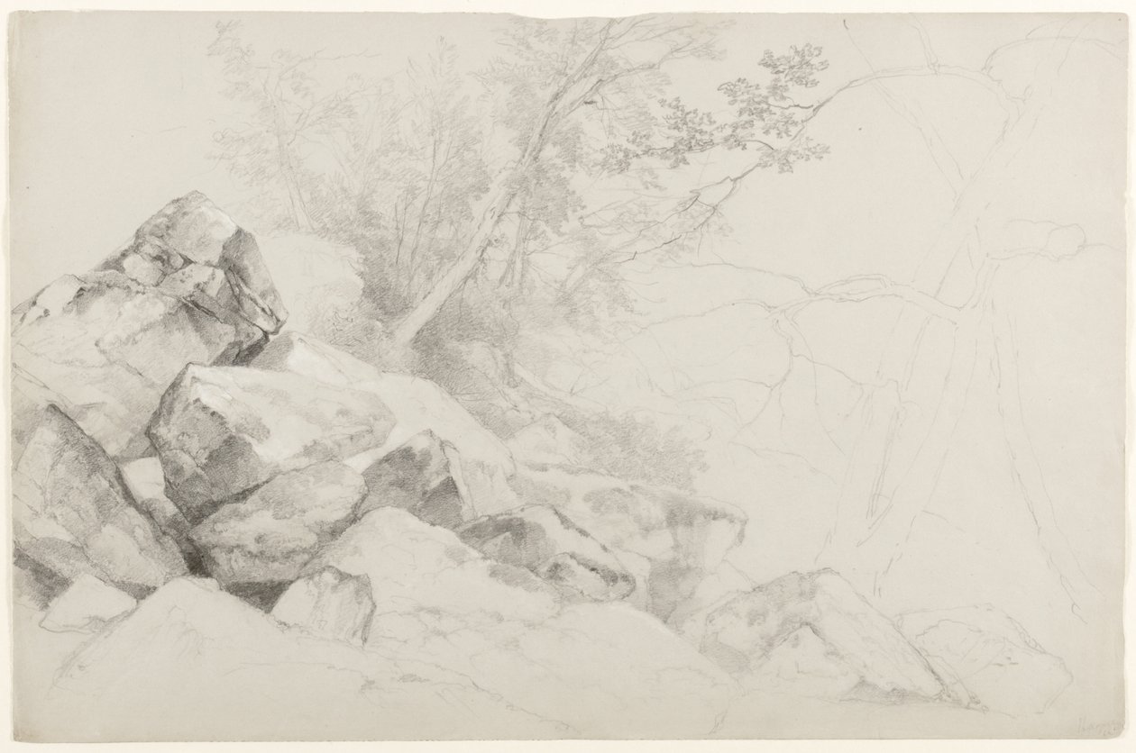 Study of Rocks with Trees, Haag, Lake George, New York, 1862 (grafiitti harmaalle paperille) tekijältä Asher Brown Durand