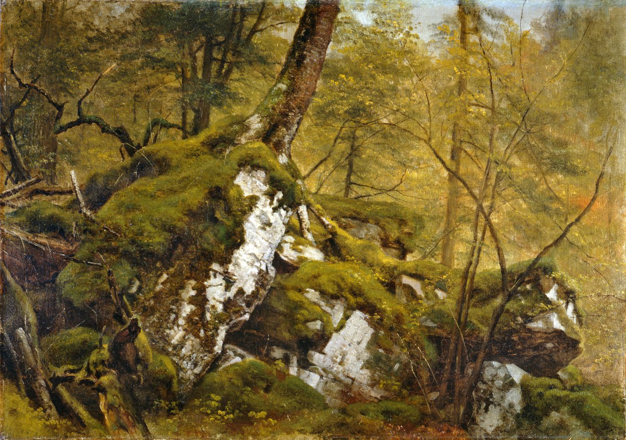 Study of a Wood Interior, n. 1855 tekijältä Asher Brown Durand