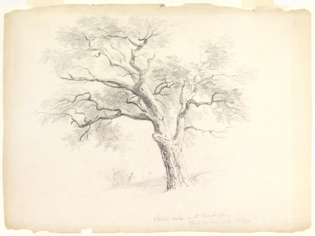 Chestnut Oak Hosack Estatessa, Hyde Park, New York, viisi hahmoa ja taiteilijapiirros, 1838 (grafiitti paperille) tekijältä Asher Brown Durand