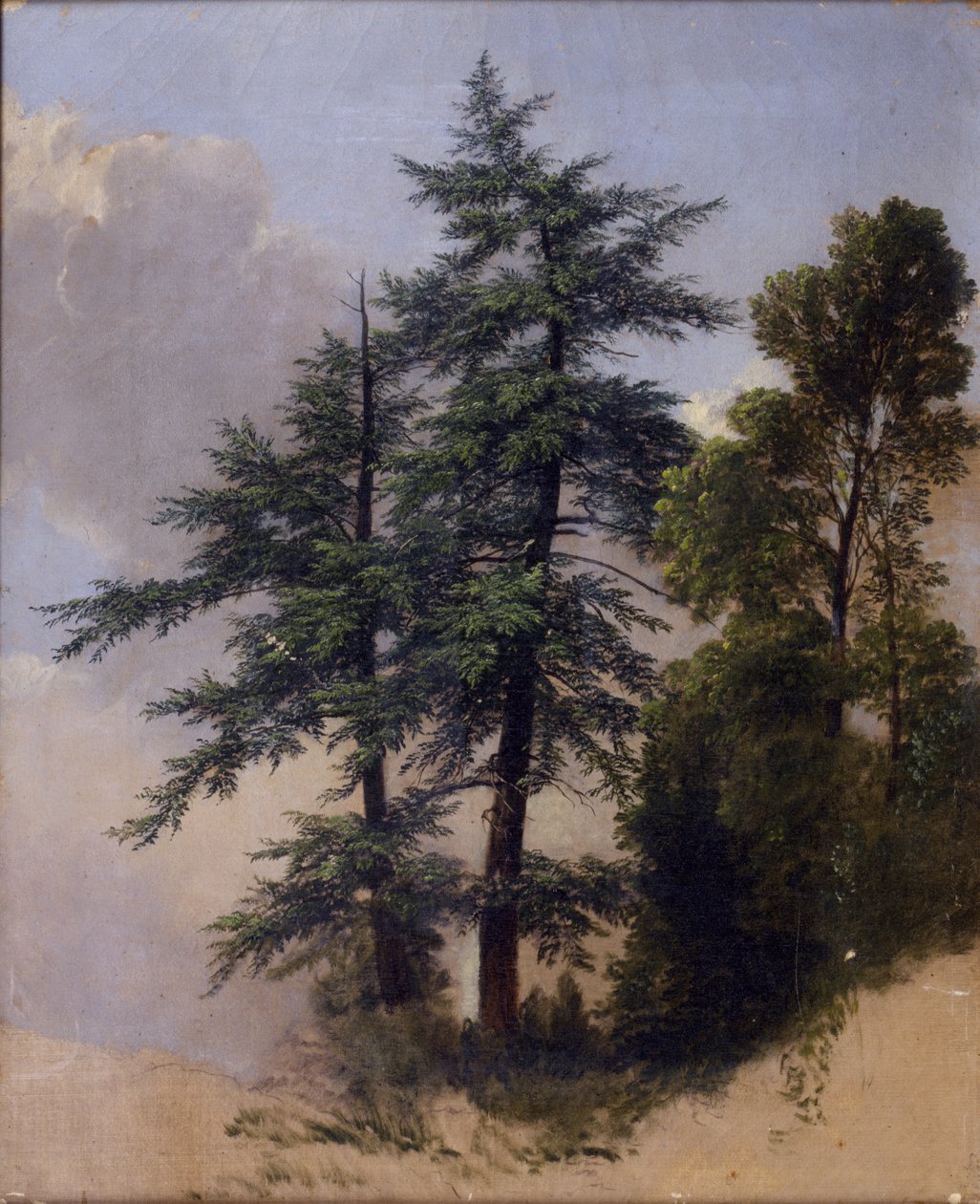Puututkimus, Newburgh, N.Y., 1849 tekijältä Asher Brown Durand