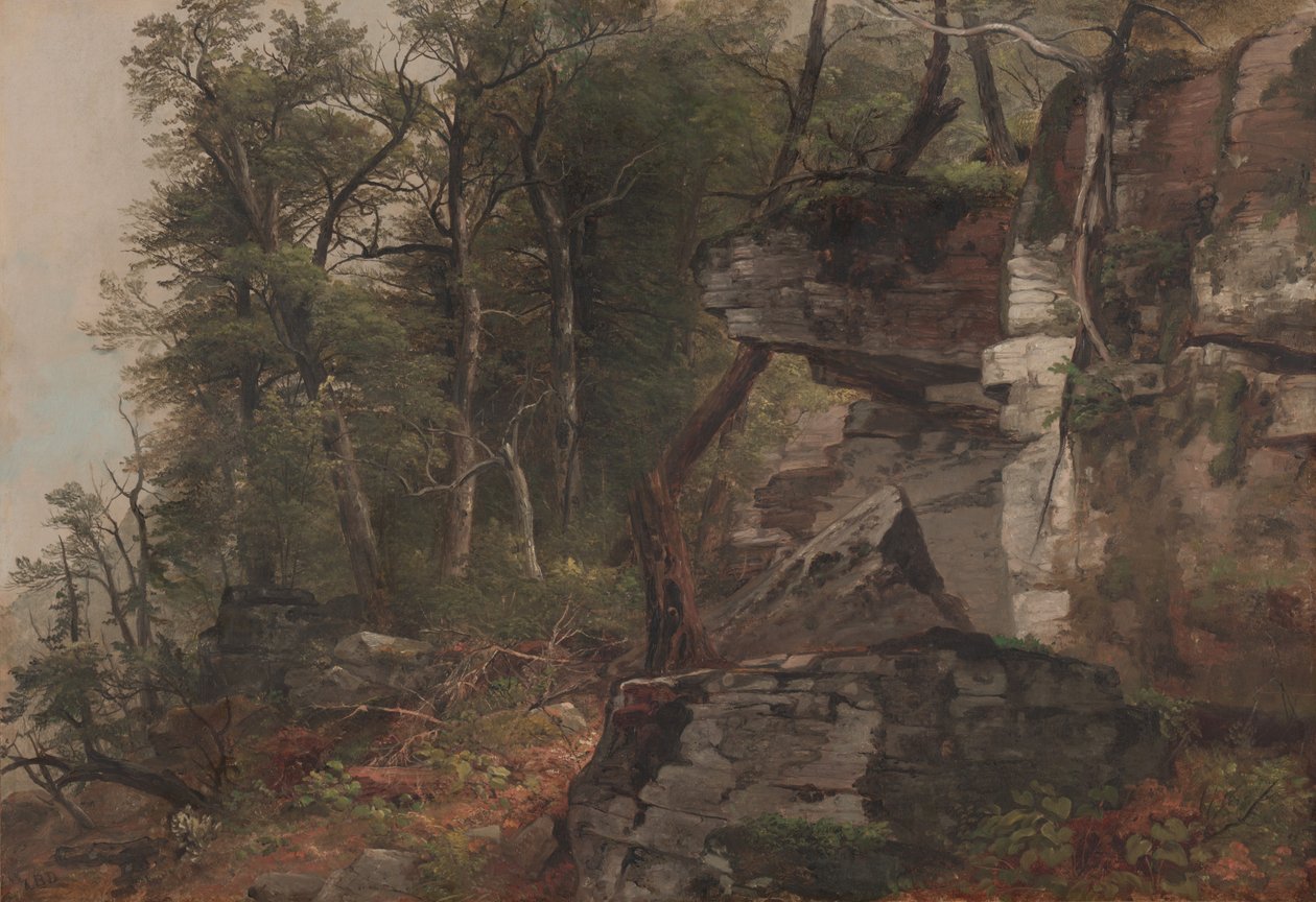 Puut kallioisella rinteellä, n. 1849 tekijältä Asher Brown Durand