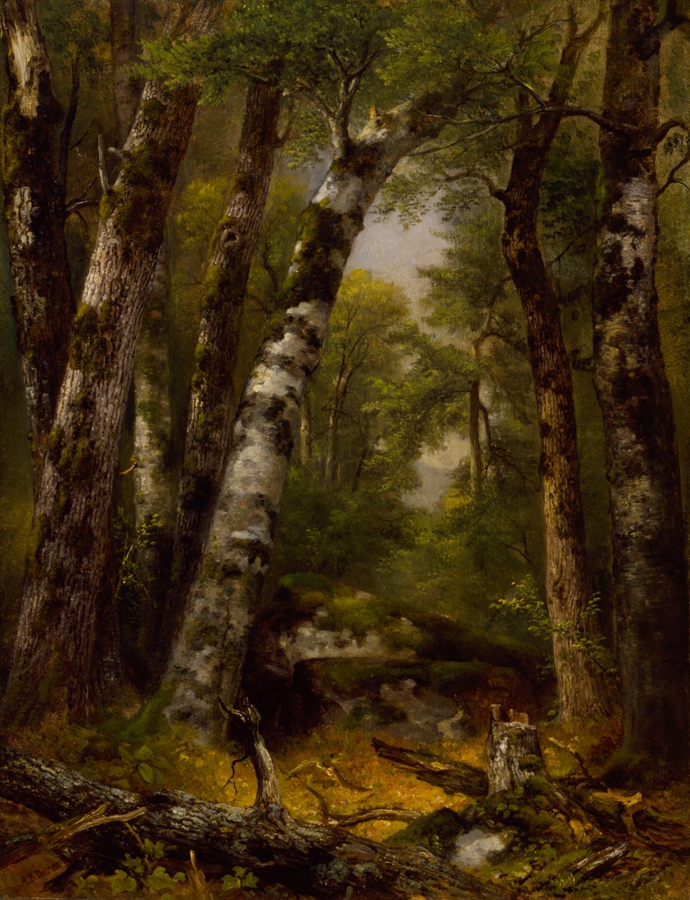 Woodland Glen, n. 1850-1855. tekijältä Asher Brown Durand