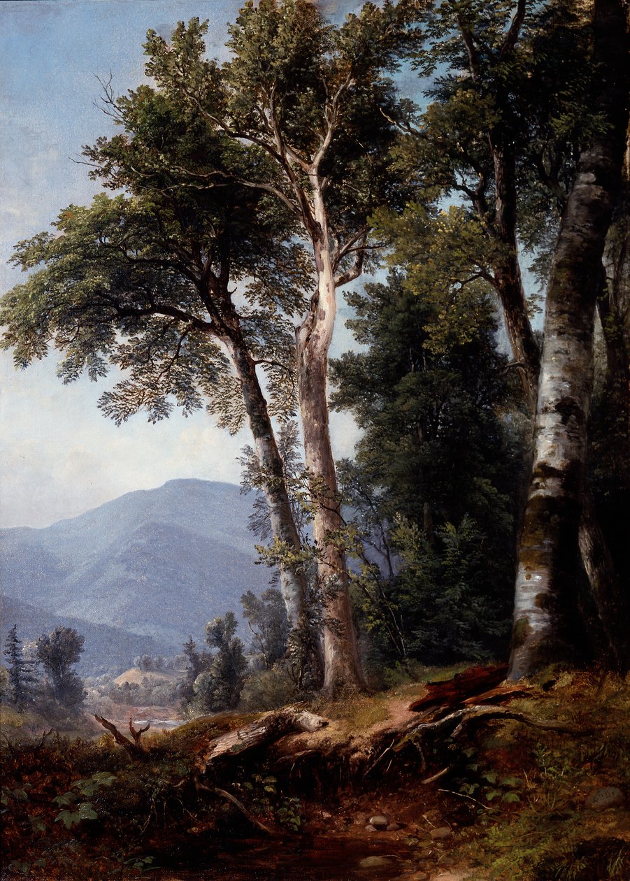 Metsämaisema, noin 1850 (öljy kankaalle) tekijältä Asher Brown Durand