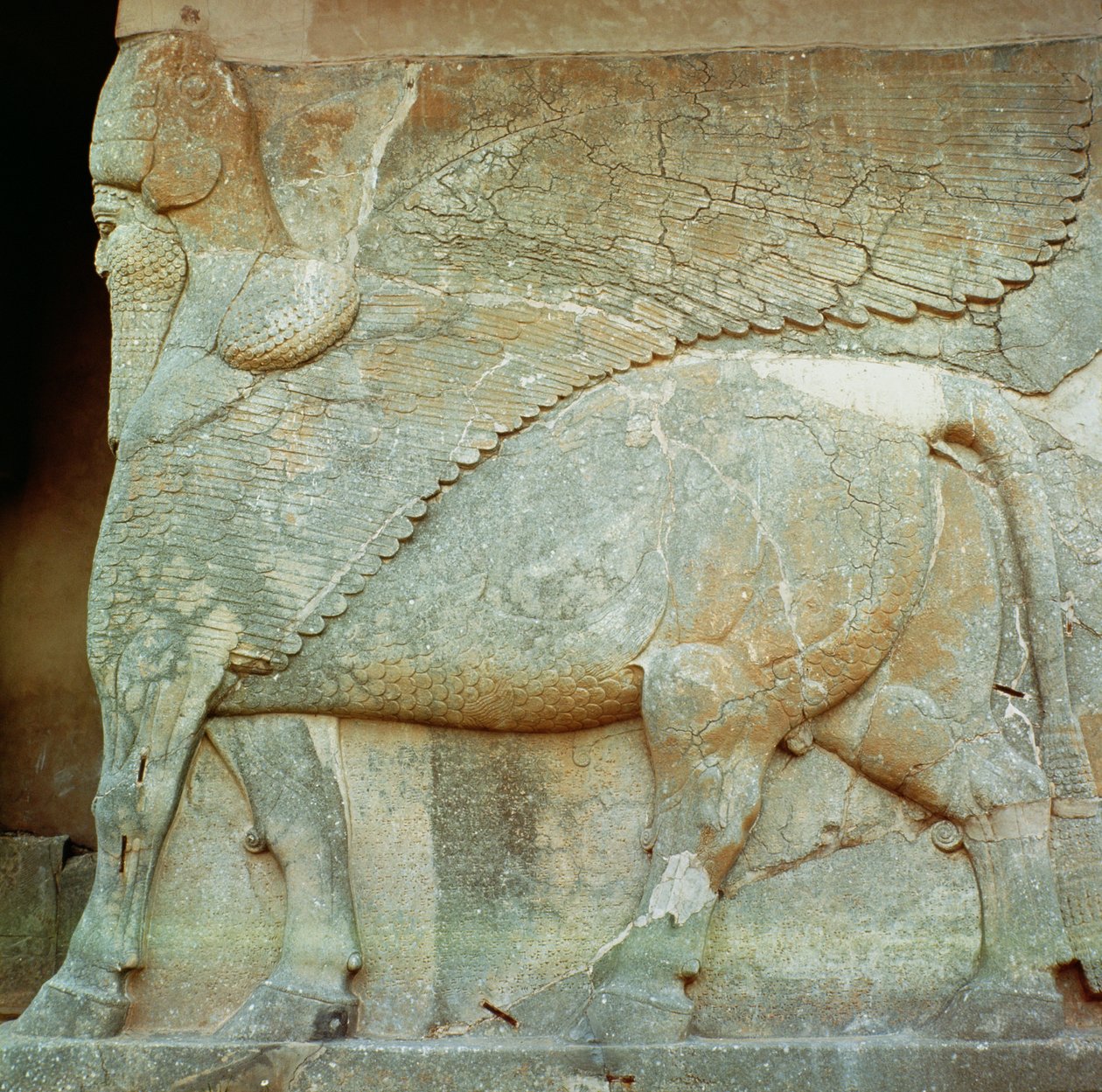 Antropomorfisen härän bareljefi tekijältä Assyrian
