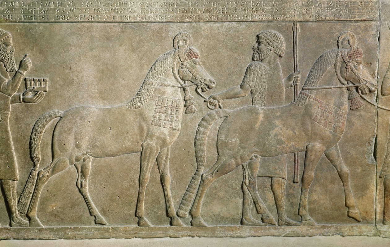 Sargon II:n sivujokia kuvaava kohokuvio Sargon II:n palatsista Khorsabadissa, Irakissa (kipsi) tekijältä Assyrian