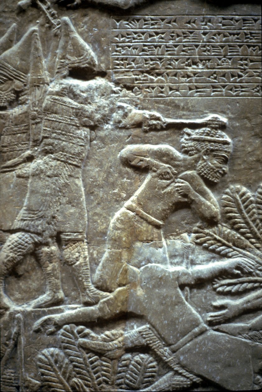 Ashurbanipal Til-Tuban taistelussa 650-620 eKr tekijältä Assyrian