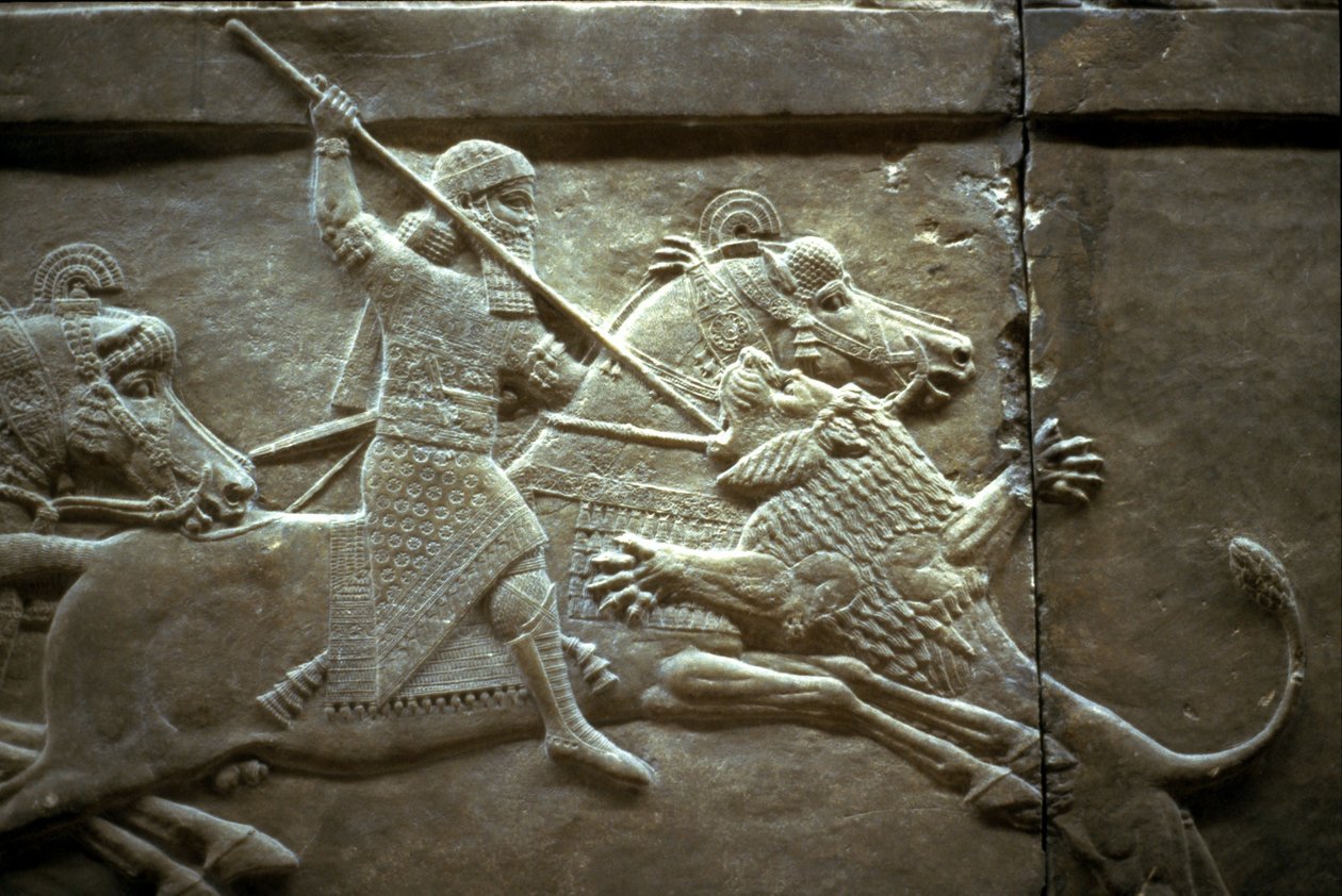 Kuningas Ashurnasirpal II kuninkaallisen leijonanmetsästyksen aikana, 650-620 eaa tekijältä Assyrian