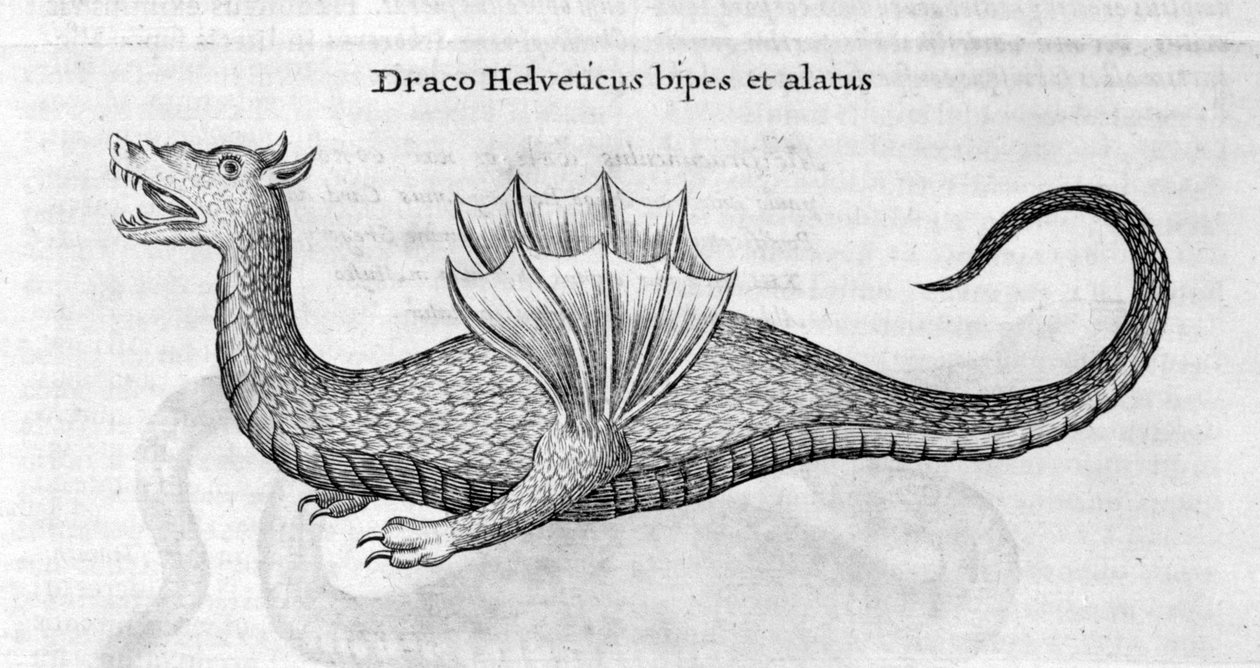 Lohikäärme, 1678 tekijältä Athanasius Kircher