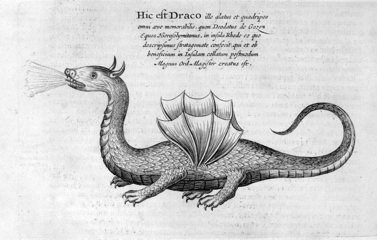 Lohikäärme, 1678 tekijältä Athanasius Kircher