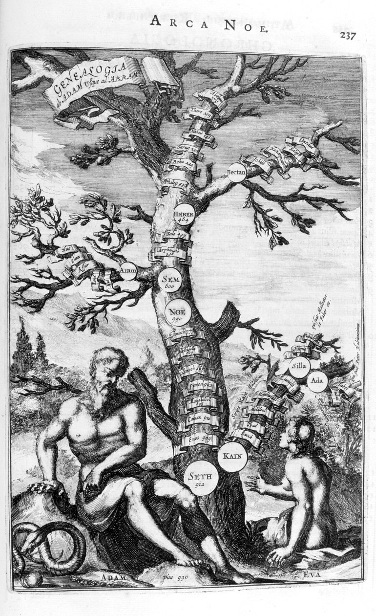 Aadamin sukututkimuspuu, 1675. tekijältä Athanasius Kircher