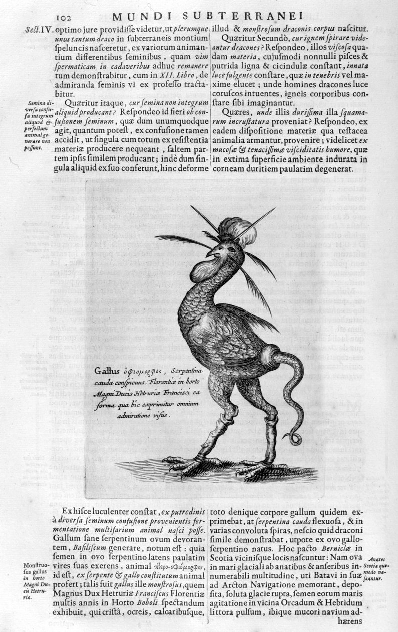 Myyttisiä olentoja, 1678. tekijältä Athanasius Kircher
