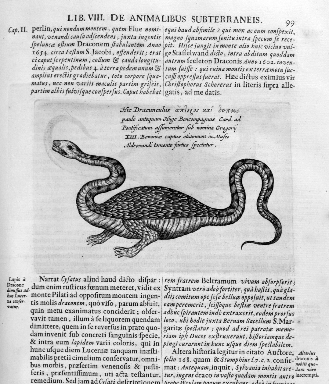 Pieni lohikäärme, 1678 tekijältä Athanasius Kircher