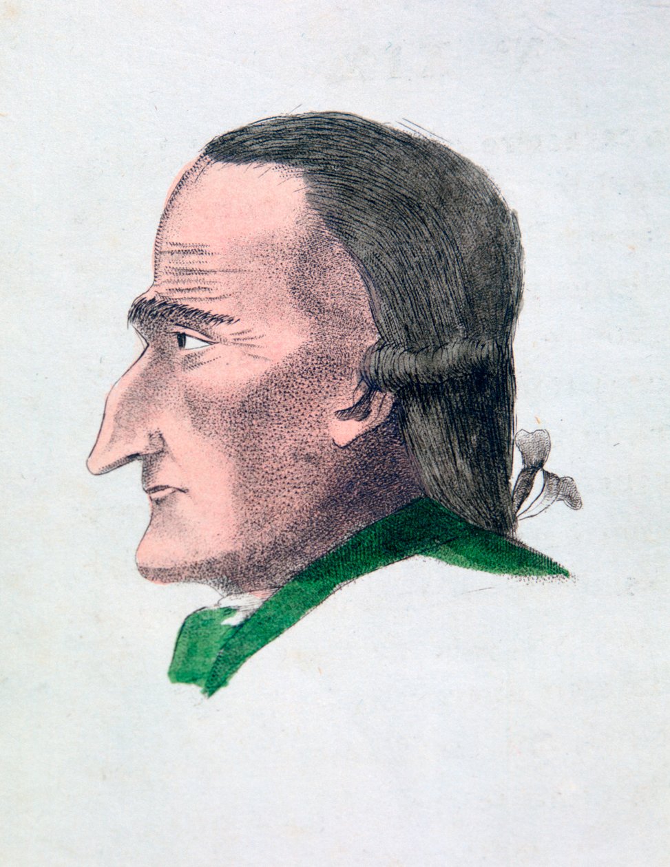 Kurjan kasvonpiirteet, 1808 tekijältä Athanasius Kircher