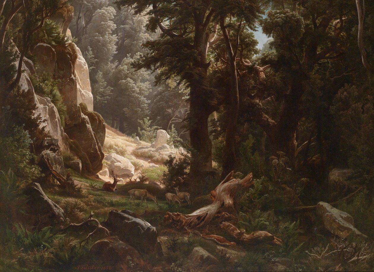 Rotwild im Waldinneren tekijältä August Friedrich Kessler