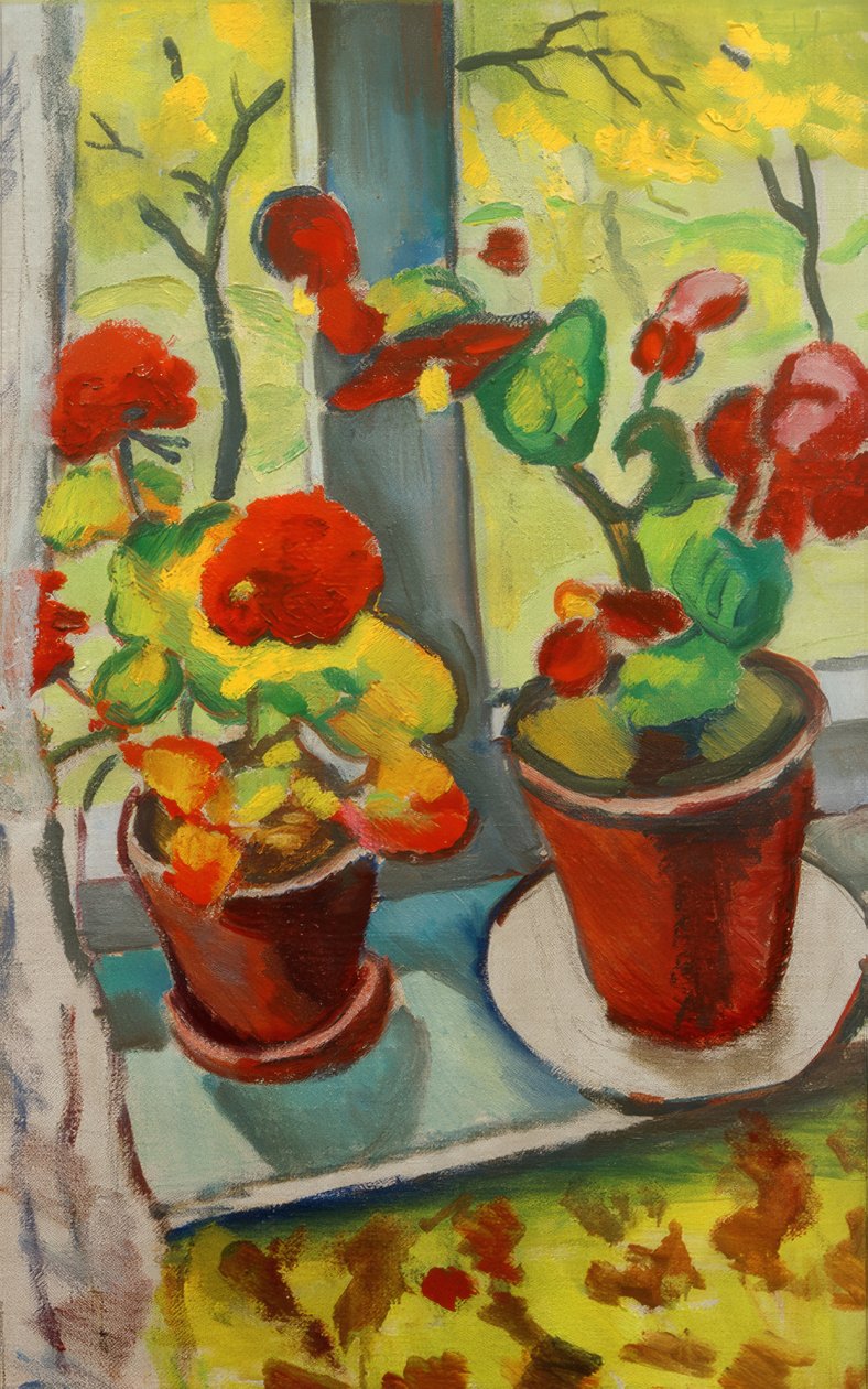 Blumen am Fenster (Begonien in Töpfen I) tekijältä August Macke
