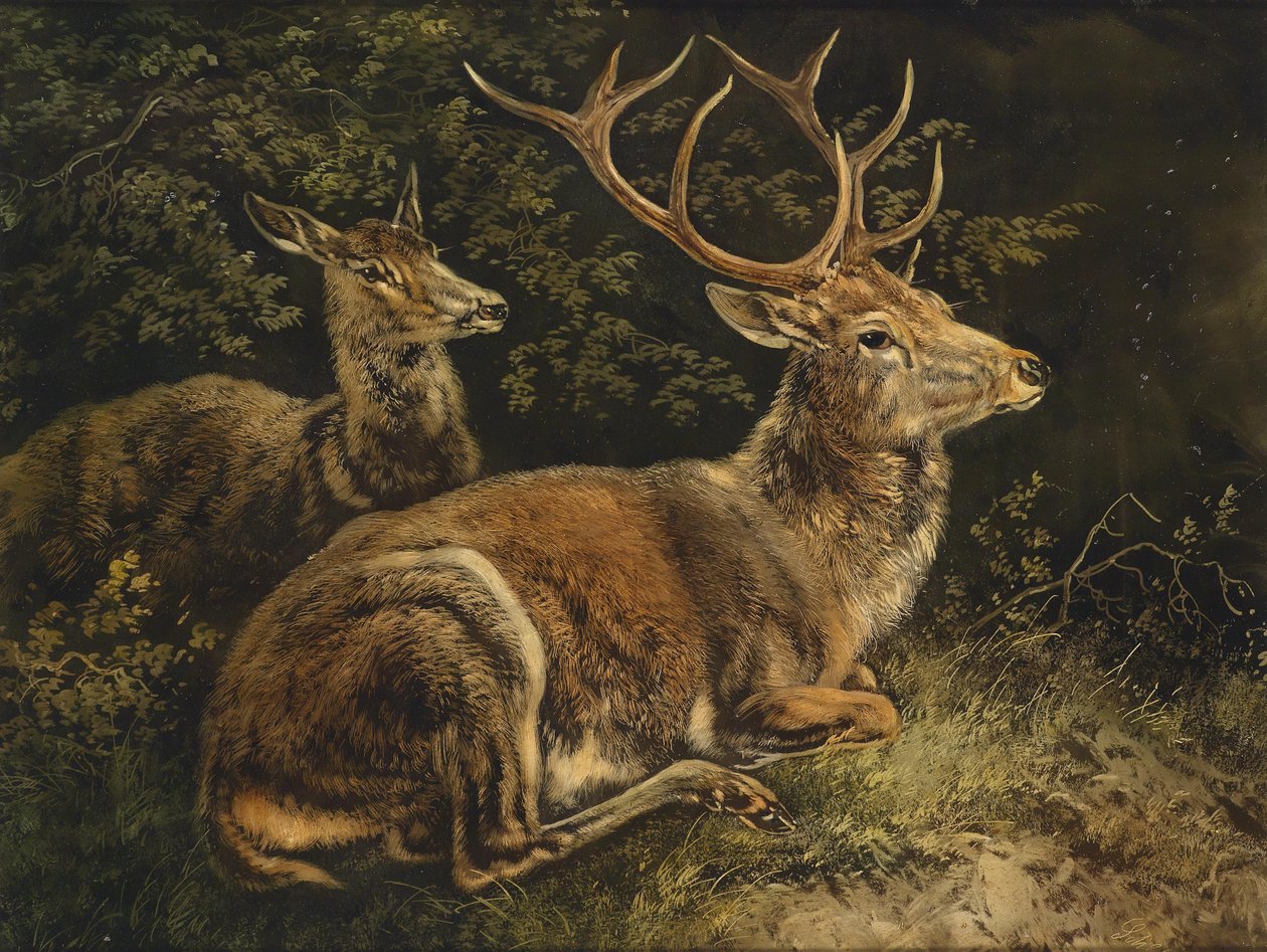 Rotwild tekijältä August Schleich