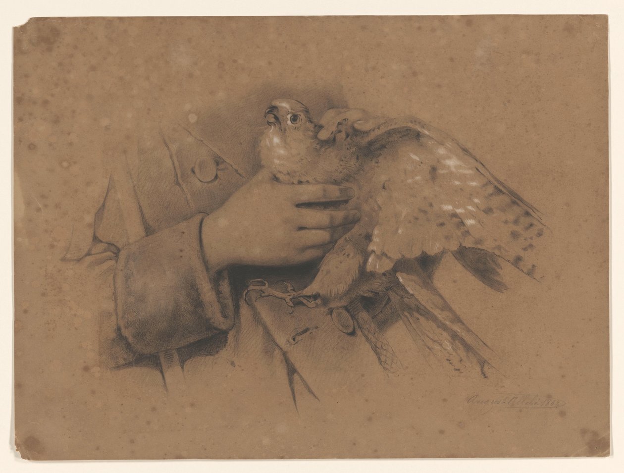 Kestrel tarttui käsiin tekijältä August Allebe