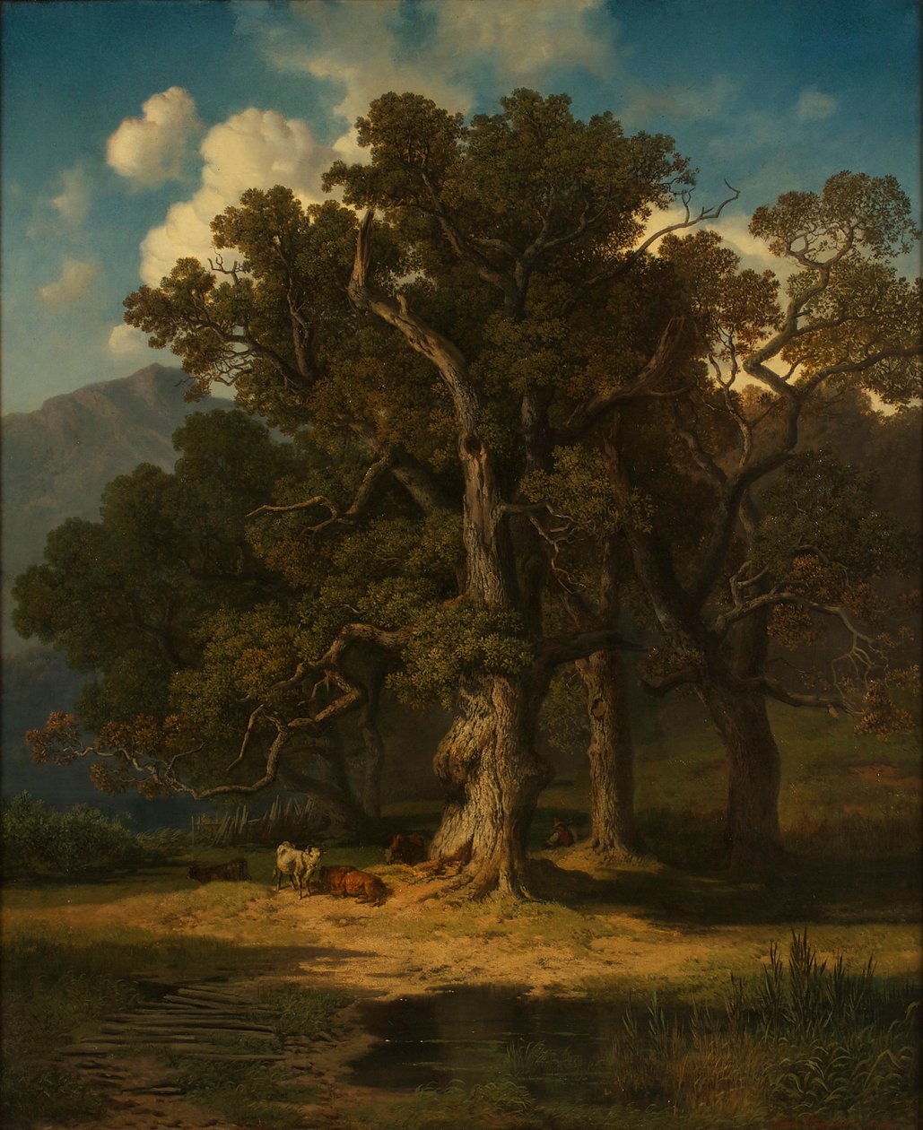 metsäinen maisema tekijältä August Maximilian Zimmermann