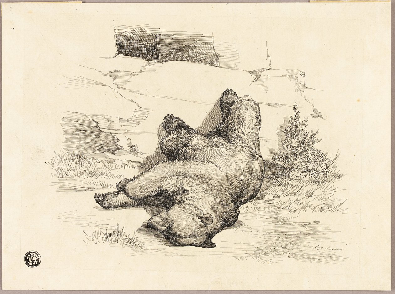Venäläinen karhu tekijältä Auguste Andre Lancon