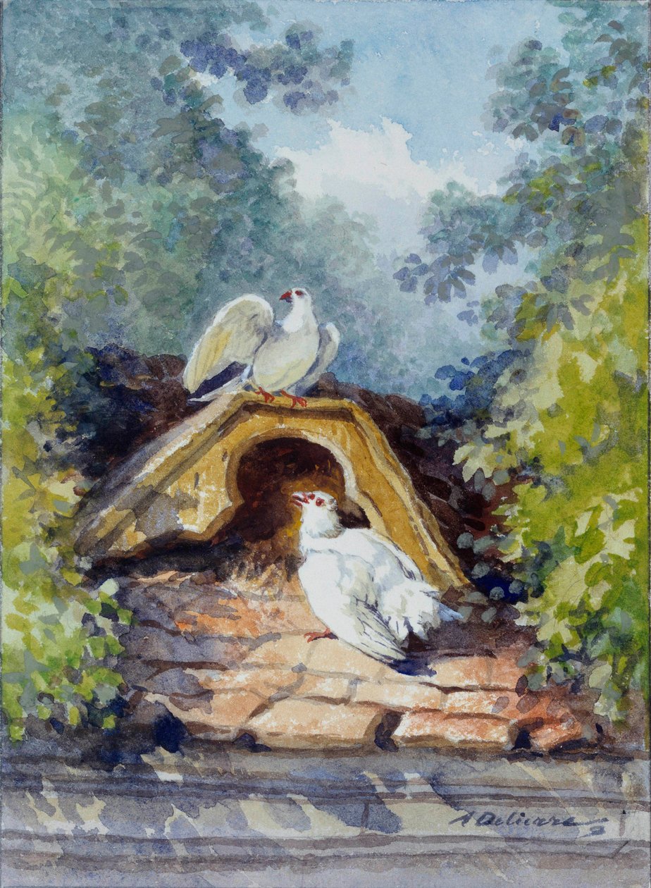 Auguste Delierren (1829-1891) kaksi akvarellikyyhkystä Jean de la Fontainen (1621-1695) 1800-luvun satua varten. Chateau Thierry. La Fontainen museo tekijältä Auguste Delierre