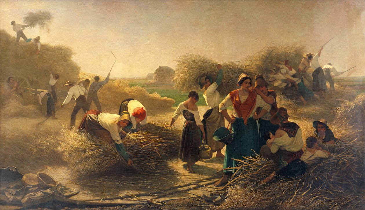 Rapsin tiskaus Lillen pelloilla tekijältä Auguste Joseph Herlin