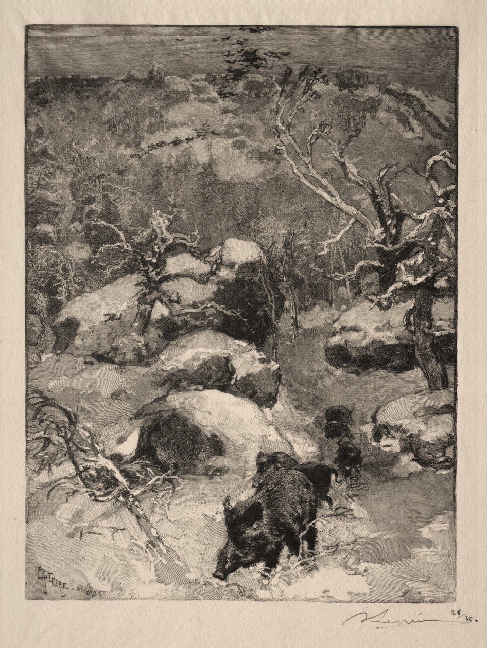 Roche Cuvier Chatillon tekijältä Auguste Louis Lepère