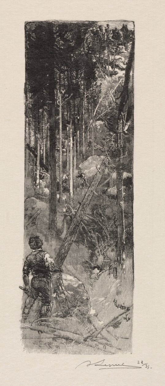 Mäntyjen hakkuu, 1887. tekijältä Auguste Louis Lepère