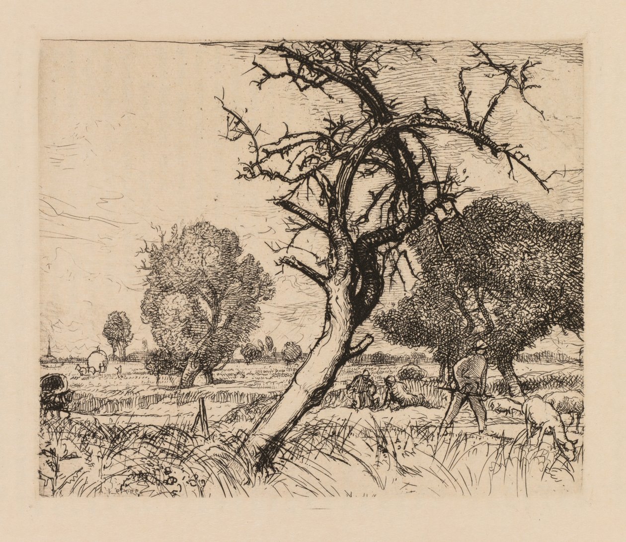 Auguste Lepère: Kuollut omenapuu Picardie, 1913. tekijältä Auguste Louis Lepère