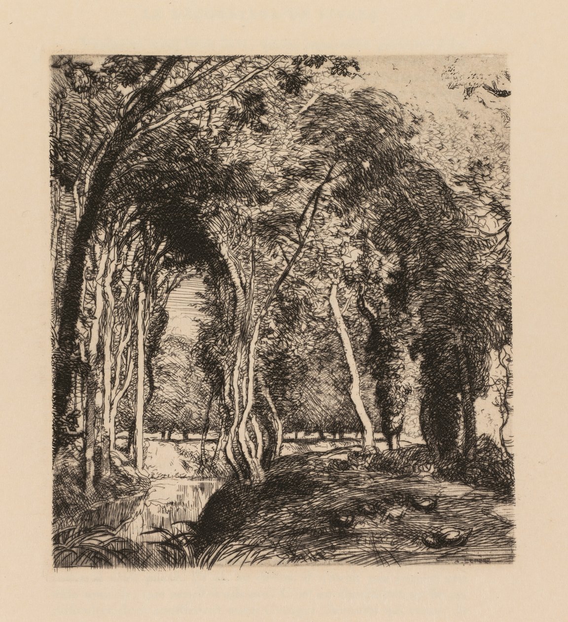 Auguste Lepère: Aluskasvillisuus, La Rigonette (Vendèe) tekijältä Auguste Louis Lepère