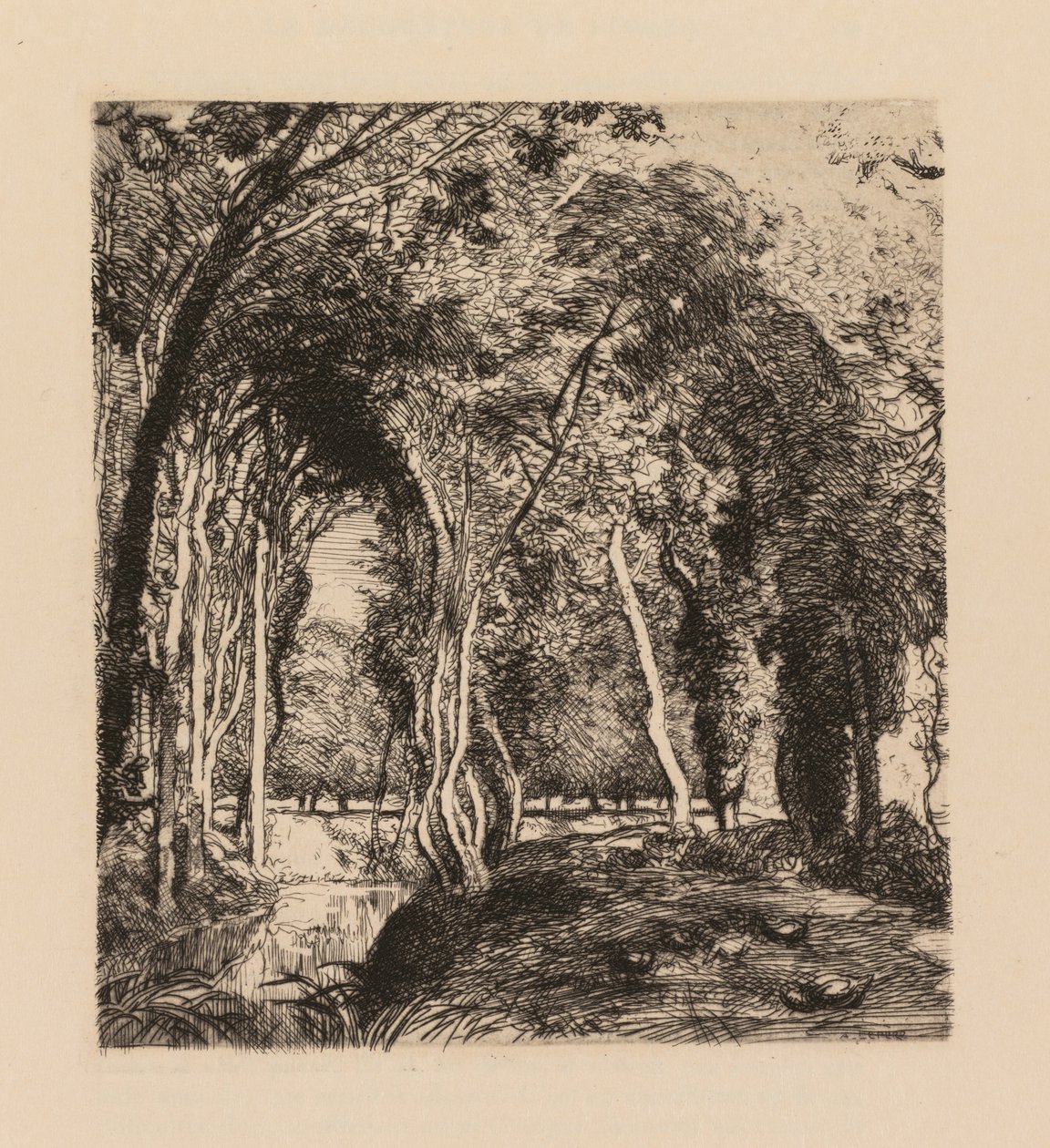 Auguste Lepère: Aluskasvillisuus, Rigonette Vendèe. tekijältä Auguste Louis Lepère