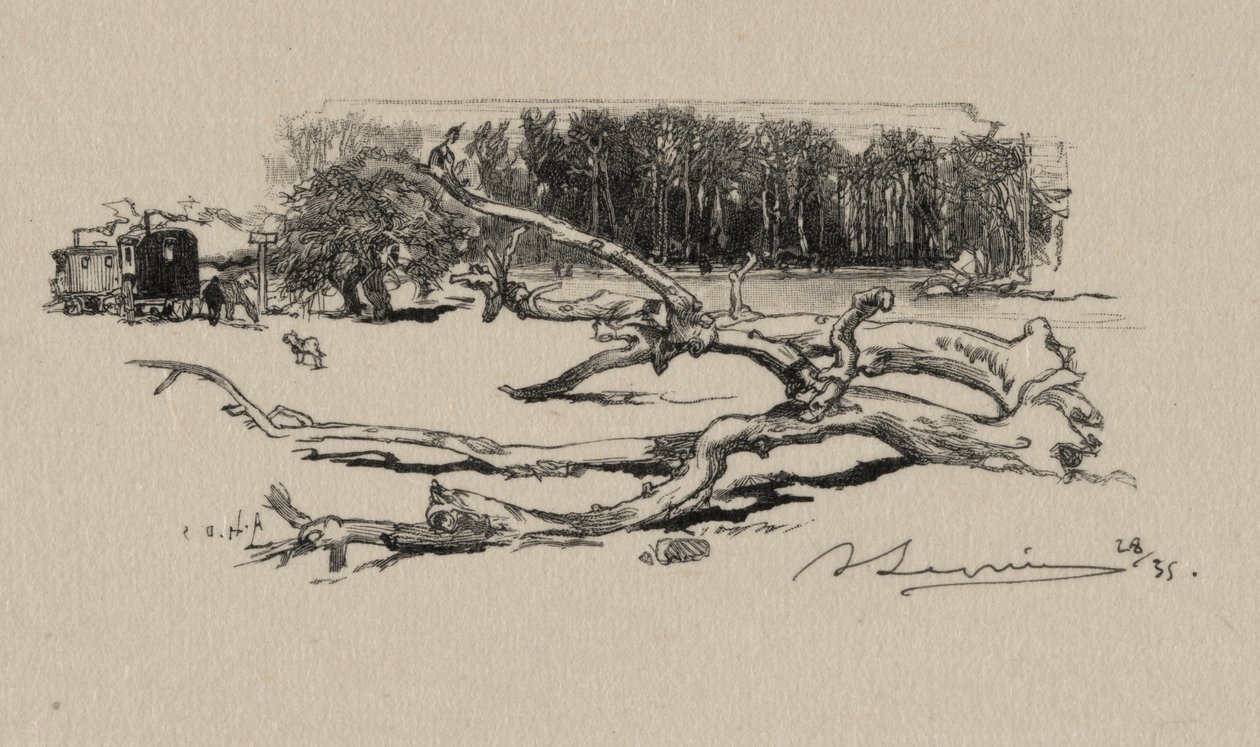 Thornin risteys tekijältä Auguste Louis Lepère
