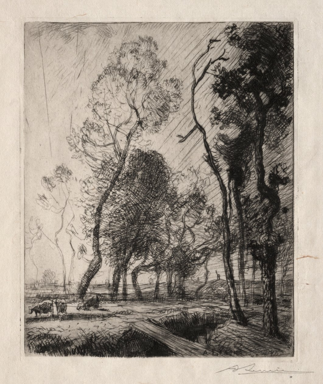 Auringonlasku puiden takana, 1909. tekijältä Auguste Louis Lepère
