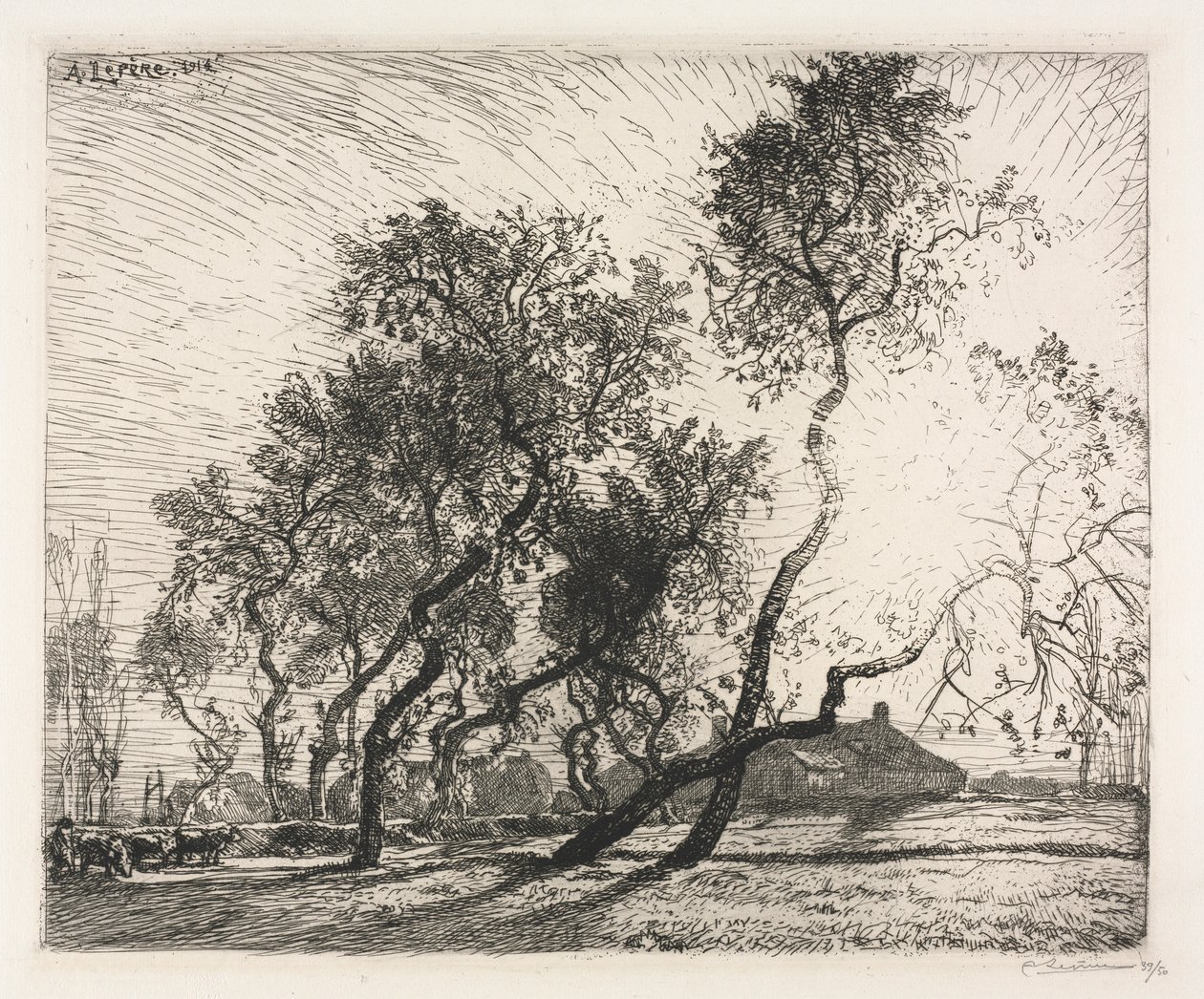 Maatila Hollannin poppelipuilla, 1914. tekijältä Auguste Louis Lepère