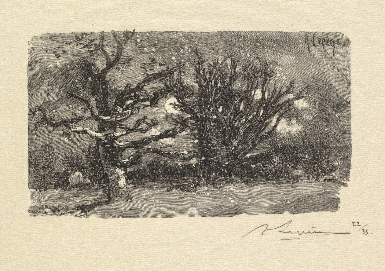 Fontainebleaun metsä: Au dormoir de Lantara (La Forêt de Fontainebleau: Au dormoir de Lantara) tekijältä Auguste Louis Lepère