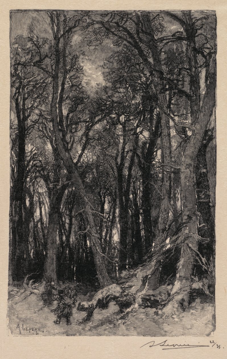 Fontainebleaun metsä: Bas-Bréau (Fontainebleaun metsä: Le Bas-Bréau) tekijältä Auguste Louis Lepère