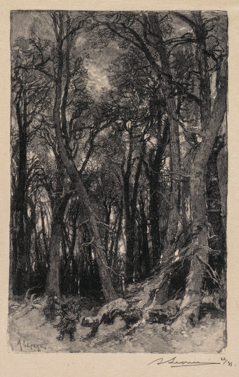 Fontainebleaun metsä: Bas-Bréau Fontainebleaun metsä: Le Bas-Bréau, 1890. tekijältä Auguste Louis Lepère