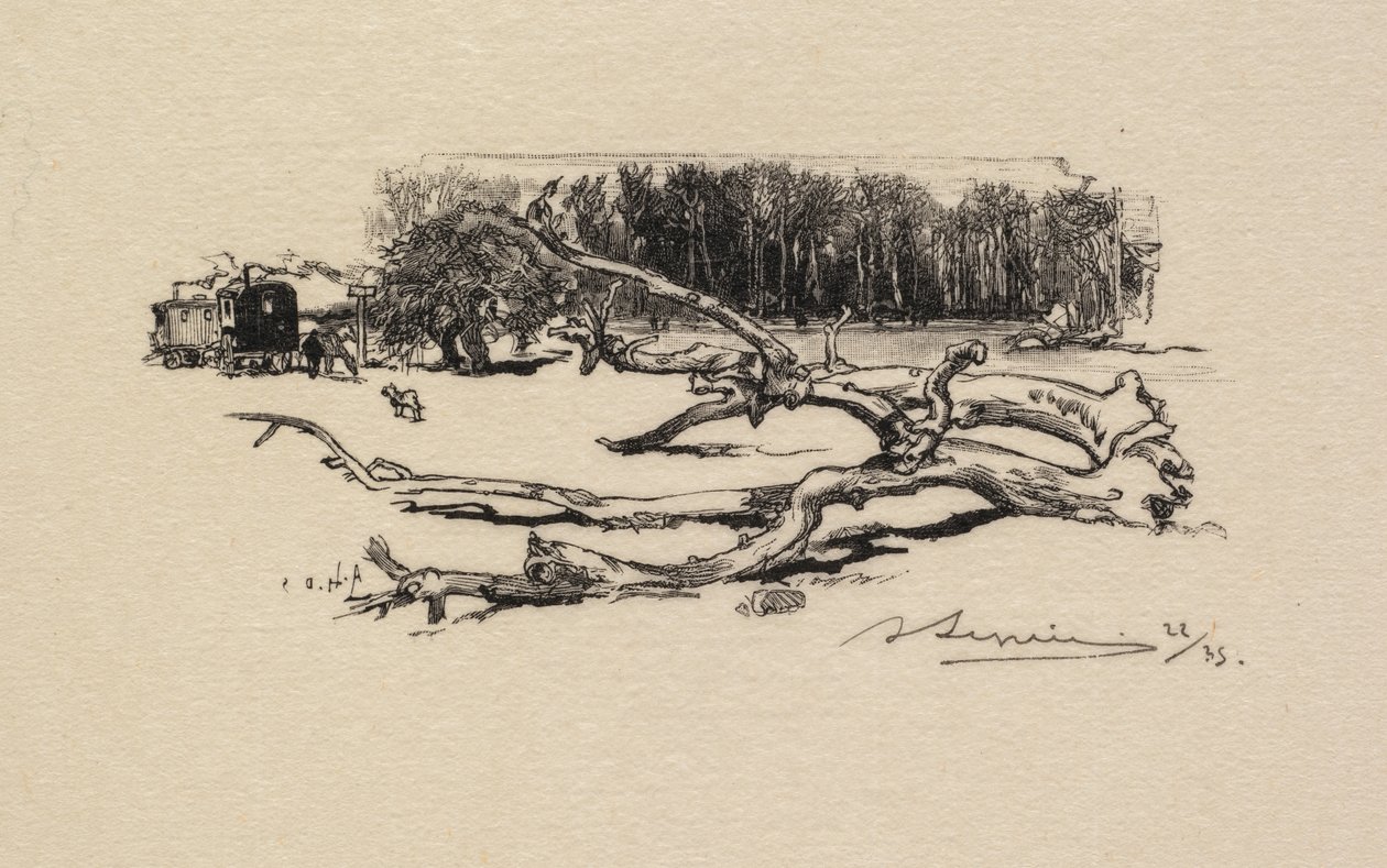 Fontainebleaun metsä: Carrefour de l