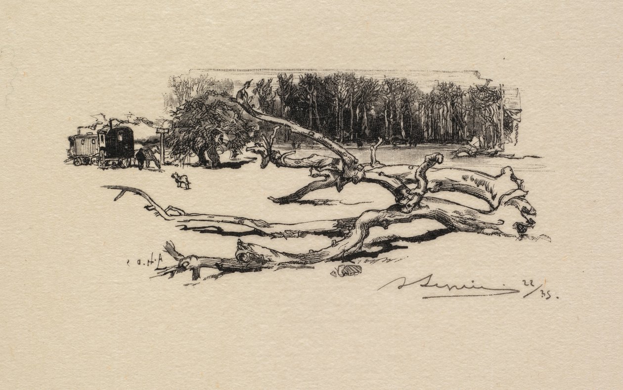 Fontainebleaun metsä: Thornin risteys Fontainebleaun metsä: Thornin risteys, 1890. tekijältä Auguste Louis Lepère