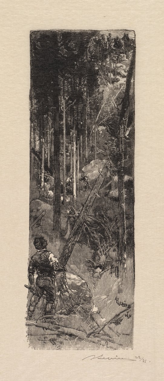 Fontainebleaun metsä: Mäntyjen hakkuu La Forêt de Fontainebleau: Abattage des pines, 1890. tekijältä Auguste Louis Lepère