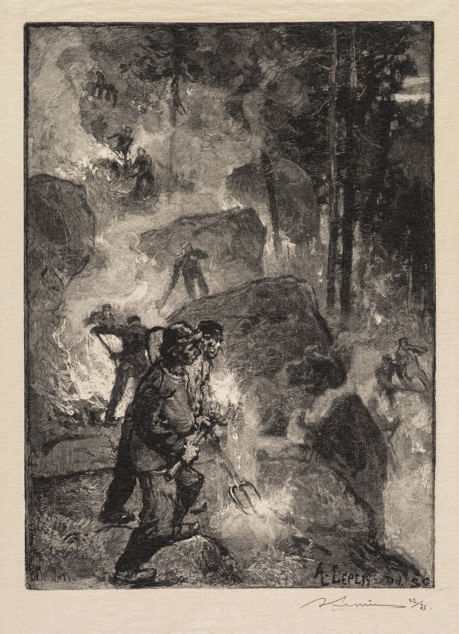 Fontainebleaun metsä: Saniaisten polttimet Fontainebleaun metsä: Saniaisten polttimet, 1890. tekijältä Auguste Louis Lepère