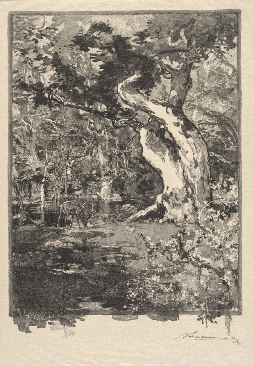 Fontainebleaun metsä: Le Clovis, Plateau de Bellecroix Fontainebleaun metsä..., 1890. tekijältä Auguste Louis Lepère