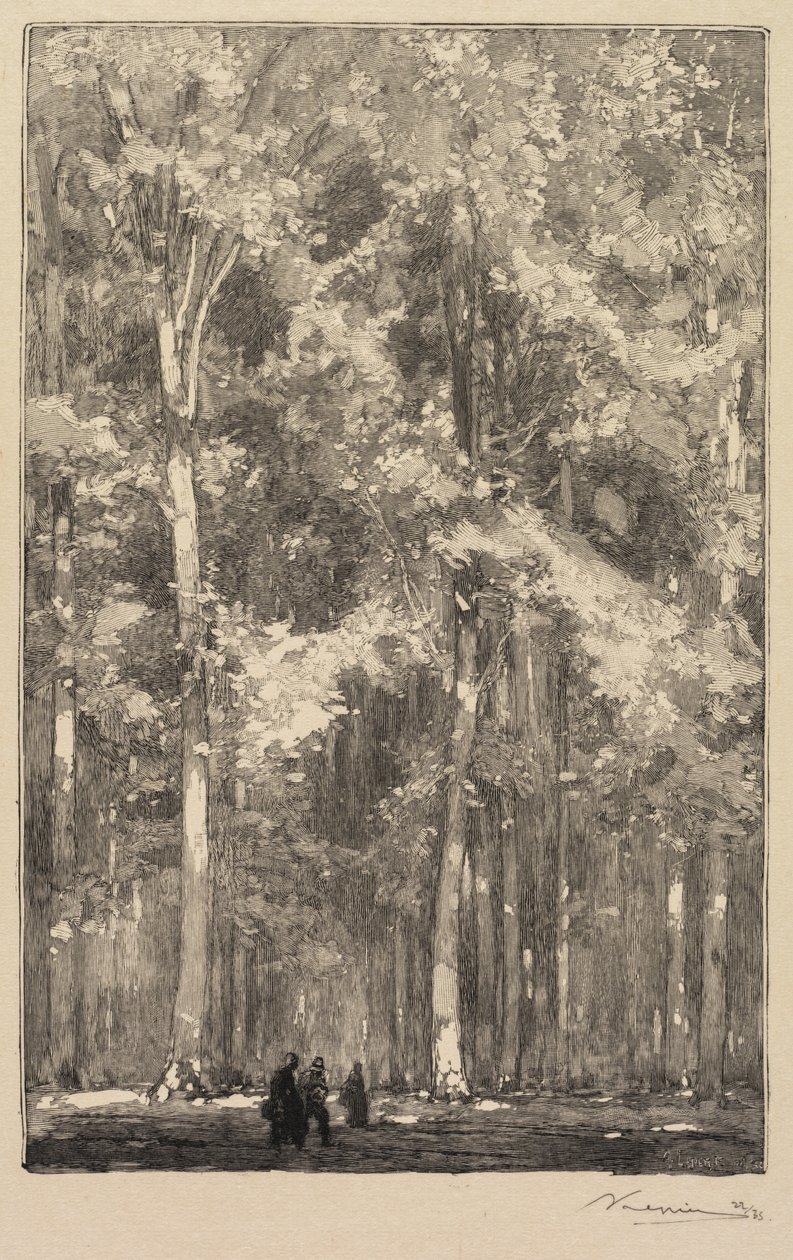 Fontainebleaun metsä: Aamu, Forts de Marlotten tien risteys (La Forêt de Fontainebleau: Le Matin, Carrefour des Fort de Marlotte) tekijältä Auguste Louis Lepère