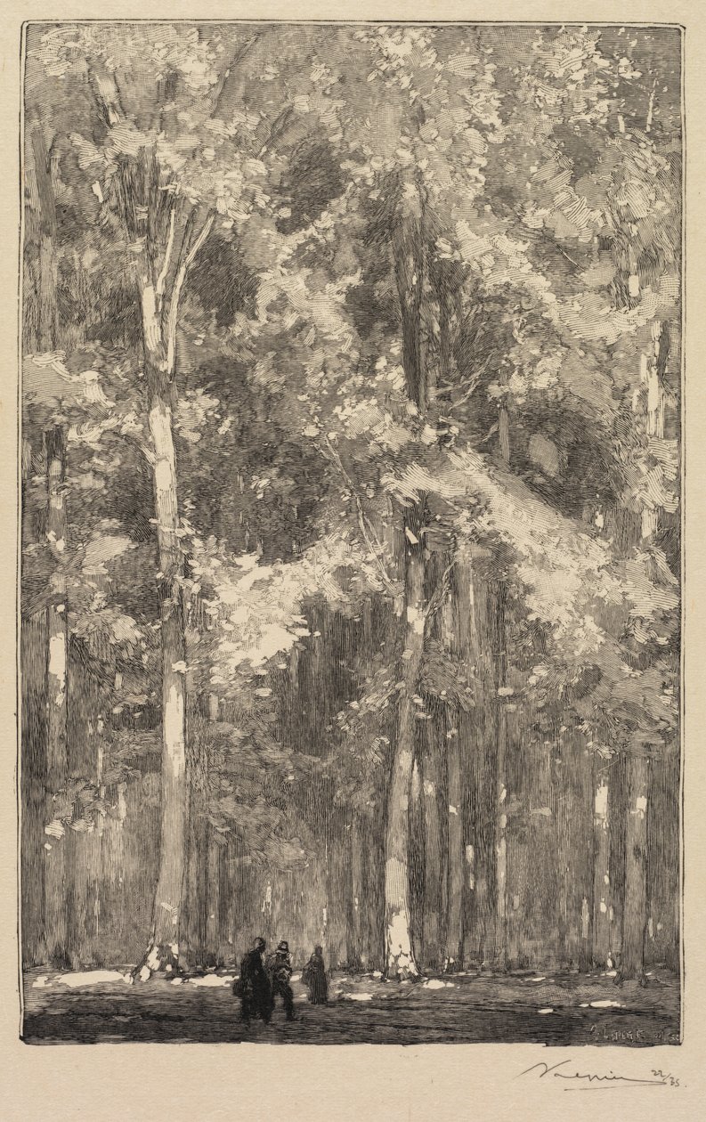 Fontainebleaun metsä: Aamu, Forts de Marlotten tien risteys..., 1890. tekijältä Auguste Louis Lepère