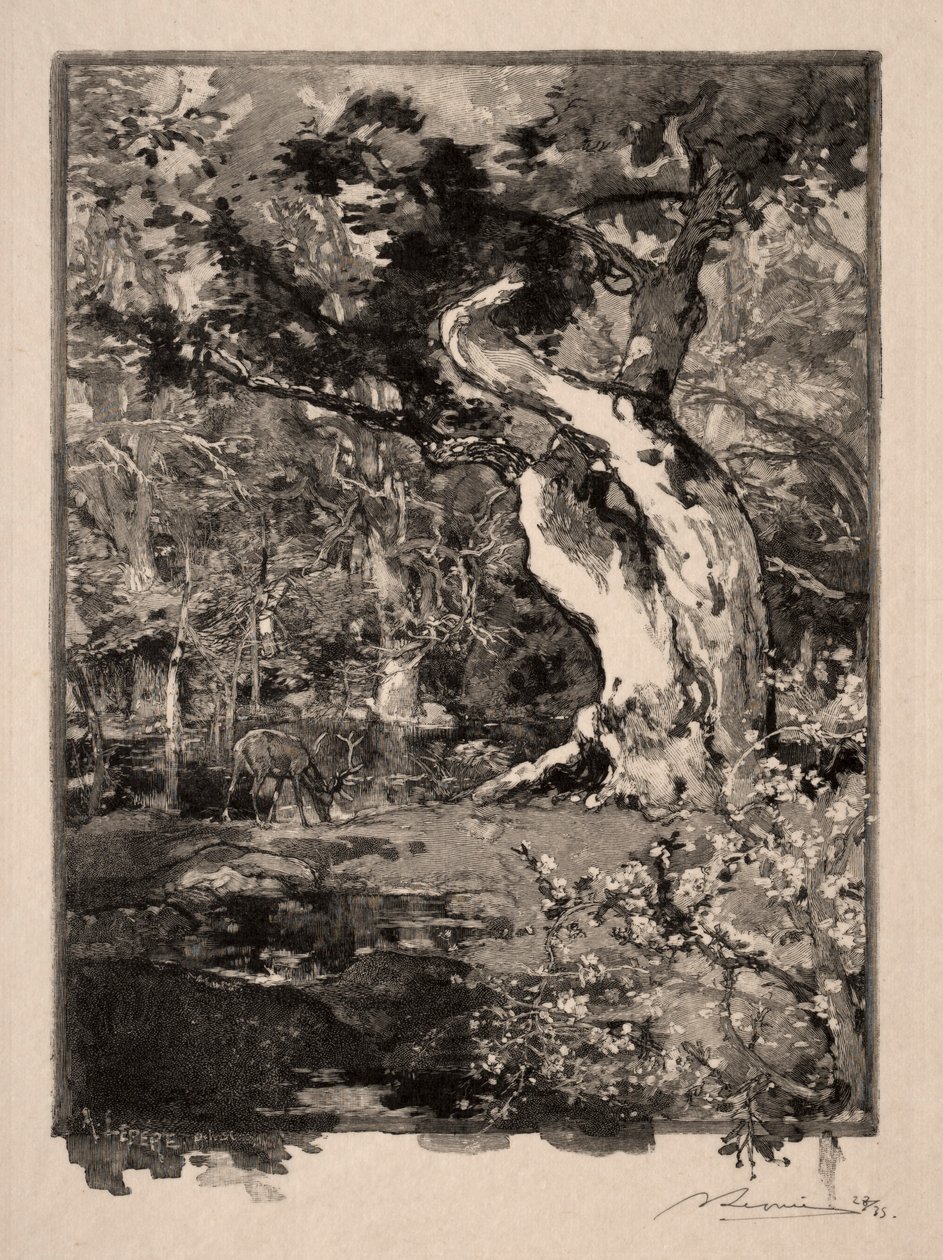 Clovis, Plateau de Bellecroix, 1890. tekijältä Auguste Louis Lepère