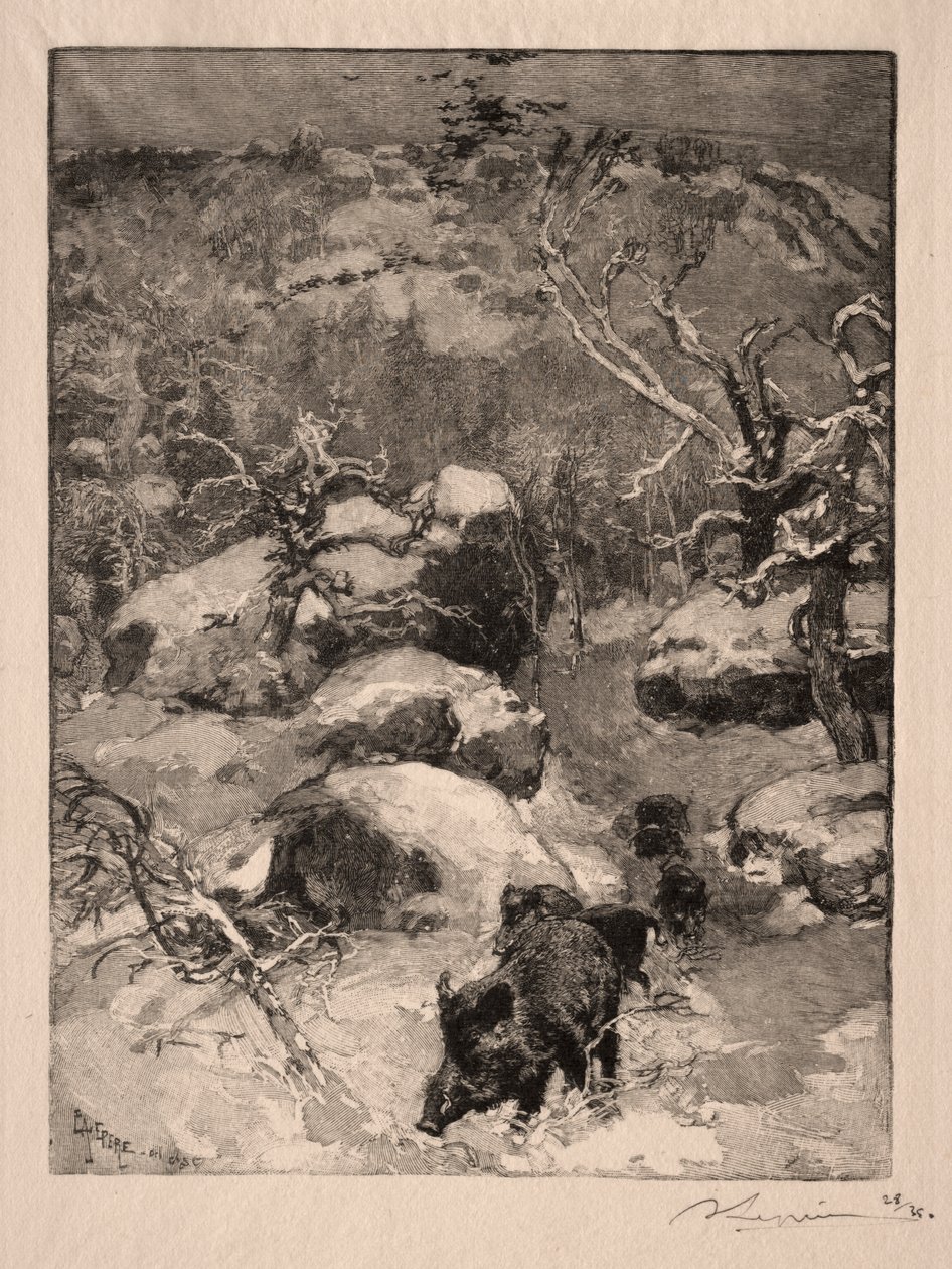 Roche Cuvier Chatillon tekijältä Auguste Louis Lepère