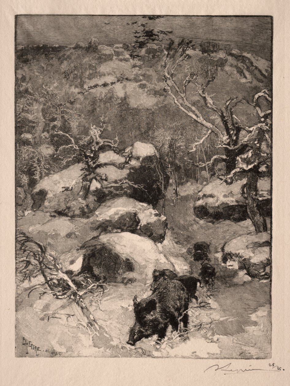Roche Cuvier Chatillon, 1887. tekijältä Auguste Louis Lepère